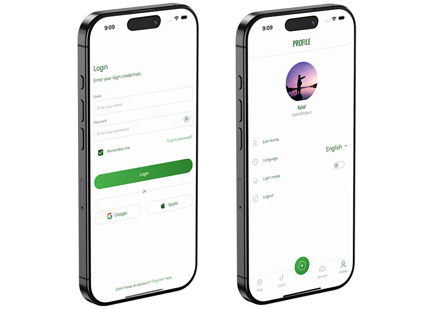 User interface preview